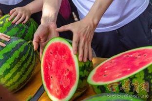 巢湖学院吃瓜,吃瓜群众揭秘校园热点事件