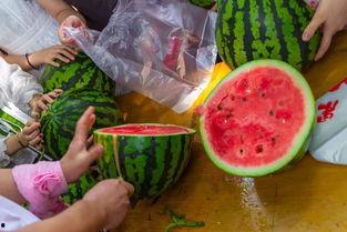 中山吃瓜视频,揭秘当地美食文化盛宴