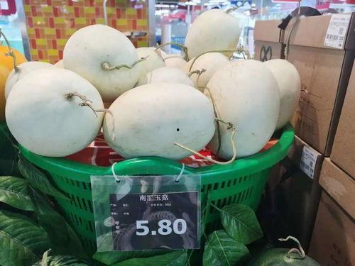 中山吃瓜视频,揭秘当地美食文化盛宴