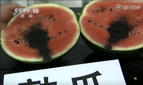 中山吃瓜视频,揭秘当地美食文化盛宴