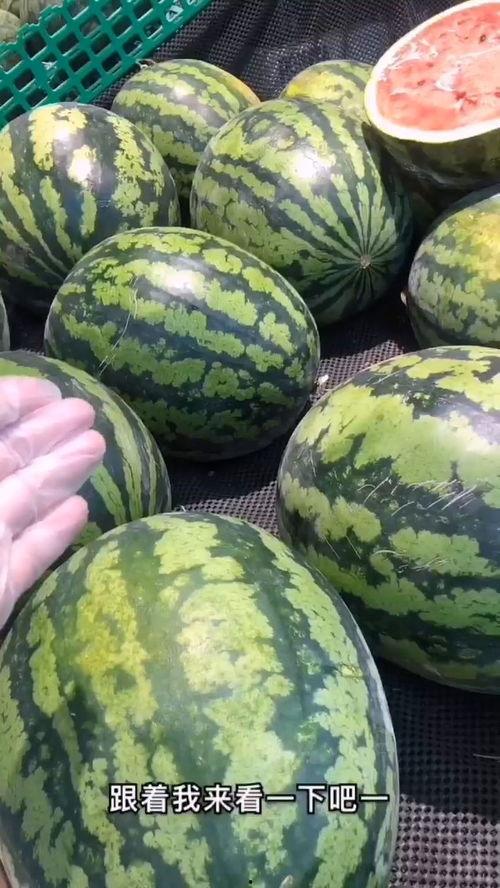 知心爱 吃瓜,揭秘娱乐圈背后的故事