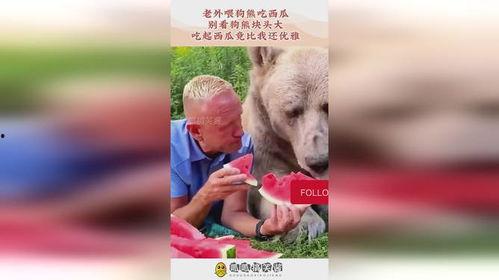 吃瓜落落熊,揭秘瓜界萌宠的趣味生活