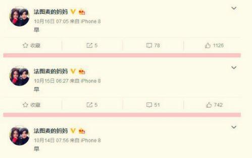 吃瓜大师文字,网络红人的崛起与影响力