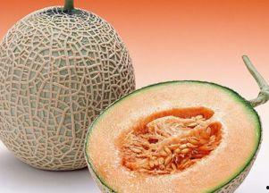 吃了柑子可以吃哈密瓜吗