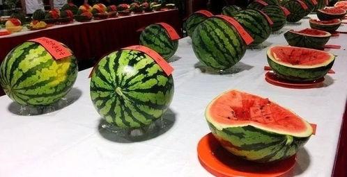 空肚吃瓜好吗,健康饮食的智慧选择