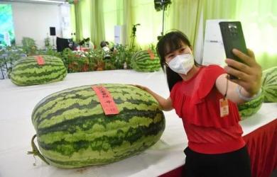 吃瓜吃到自己起点,我的起点转变之旅