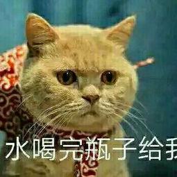 吃瓜吃到自己起点,我的起点转变之旅