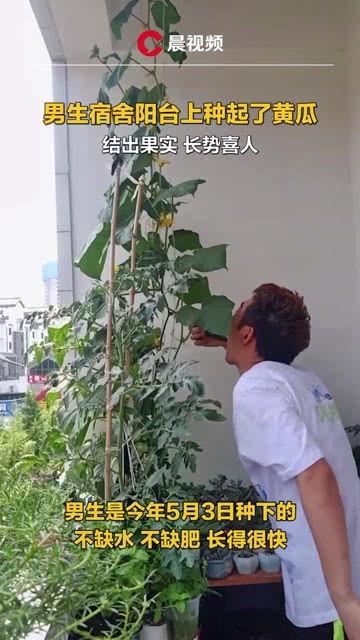 河南学校宿舍吃瓜