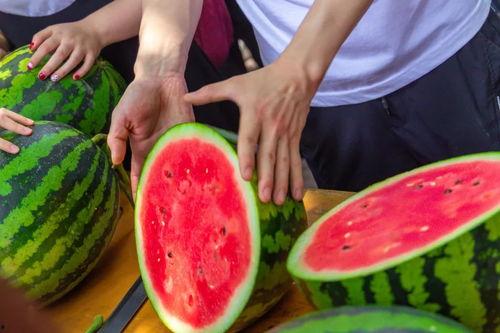 河南学校宿舍吃瓜