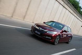 汽车吃瓜图鉴,揭秘汽车吃瓜图鉴背后的趣味与真相