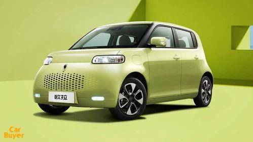 汽车吃瓜图鉴,揭秘汽车吃瓜图鉴背后的趣味与真相