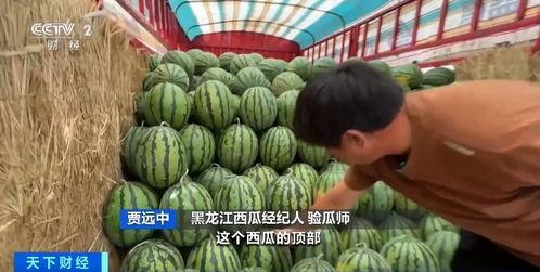 张红吃瓜,揭秘娱乐圈背后的故事