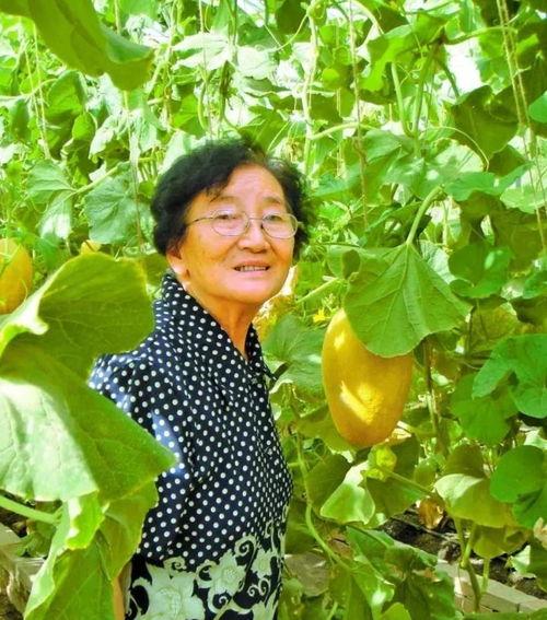 张红吃瓜,揭秘娱乐圈背后的故事