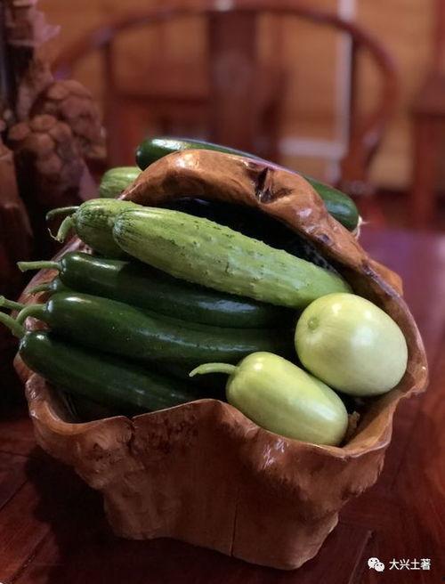 叶县网红吃瓜,揭秘网络红人的幕后生活