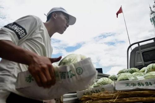 吃瓜群众 热心市民,见证时代变迁的民间力量