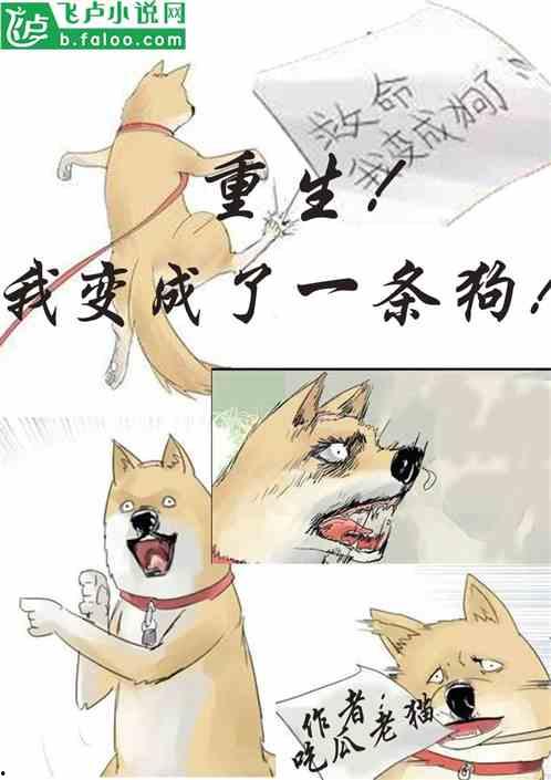 吃瓜认亲小说免费阅读